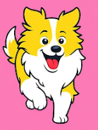 Collie 1