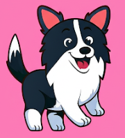 Collie 3